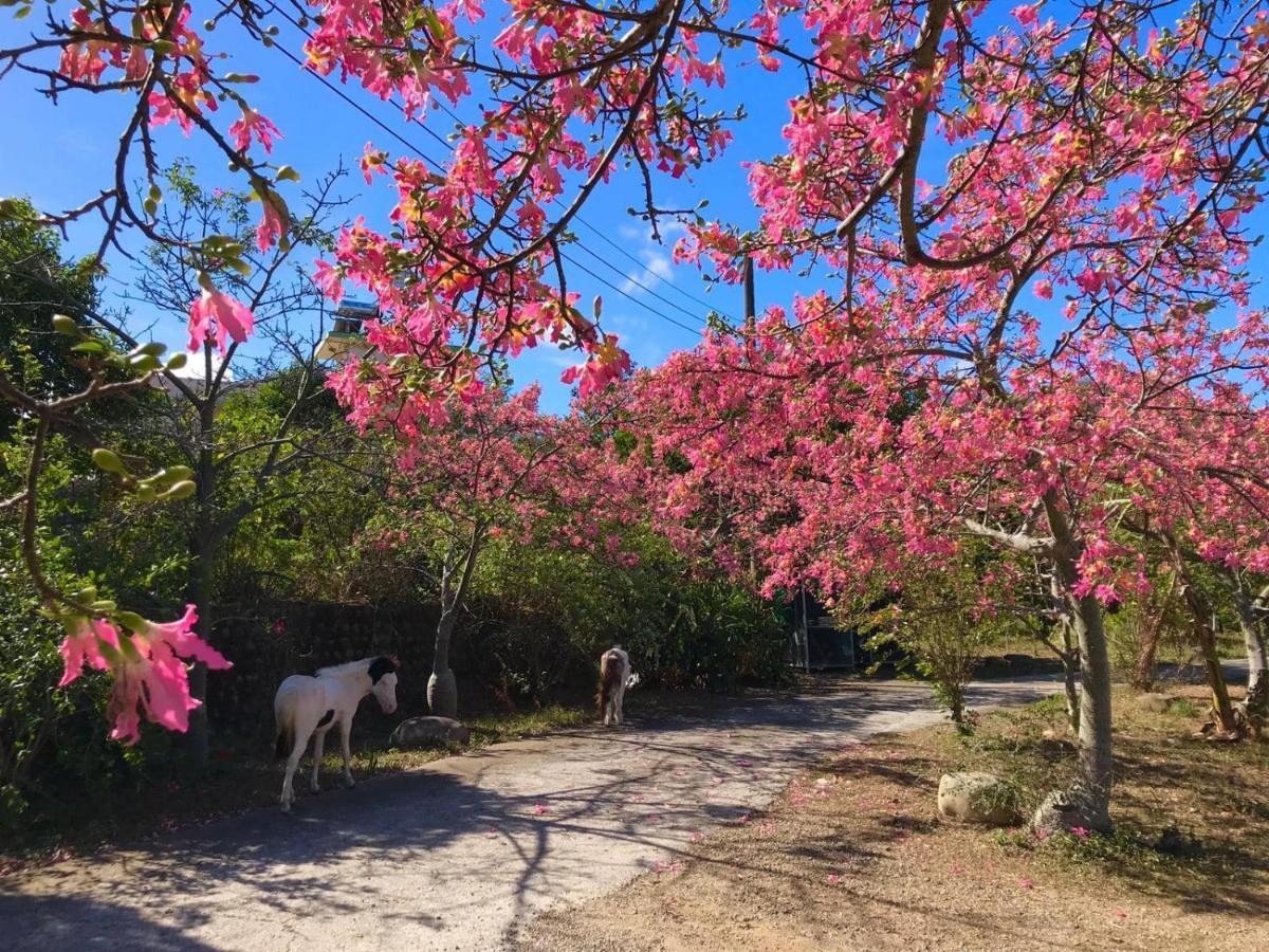 拇指園民宿 Bed & Breakfast Guanxi Luaran gambar